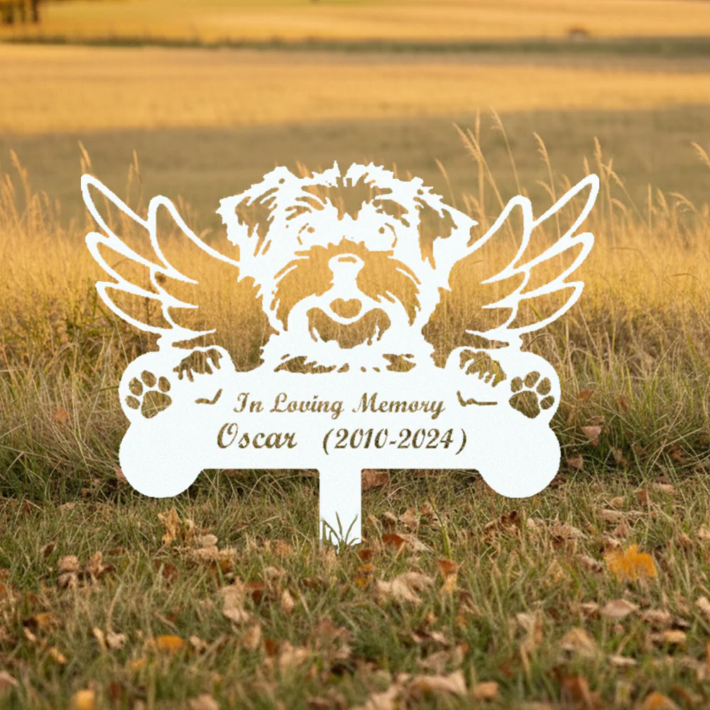 Image du produit 13