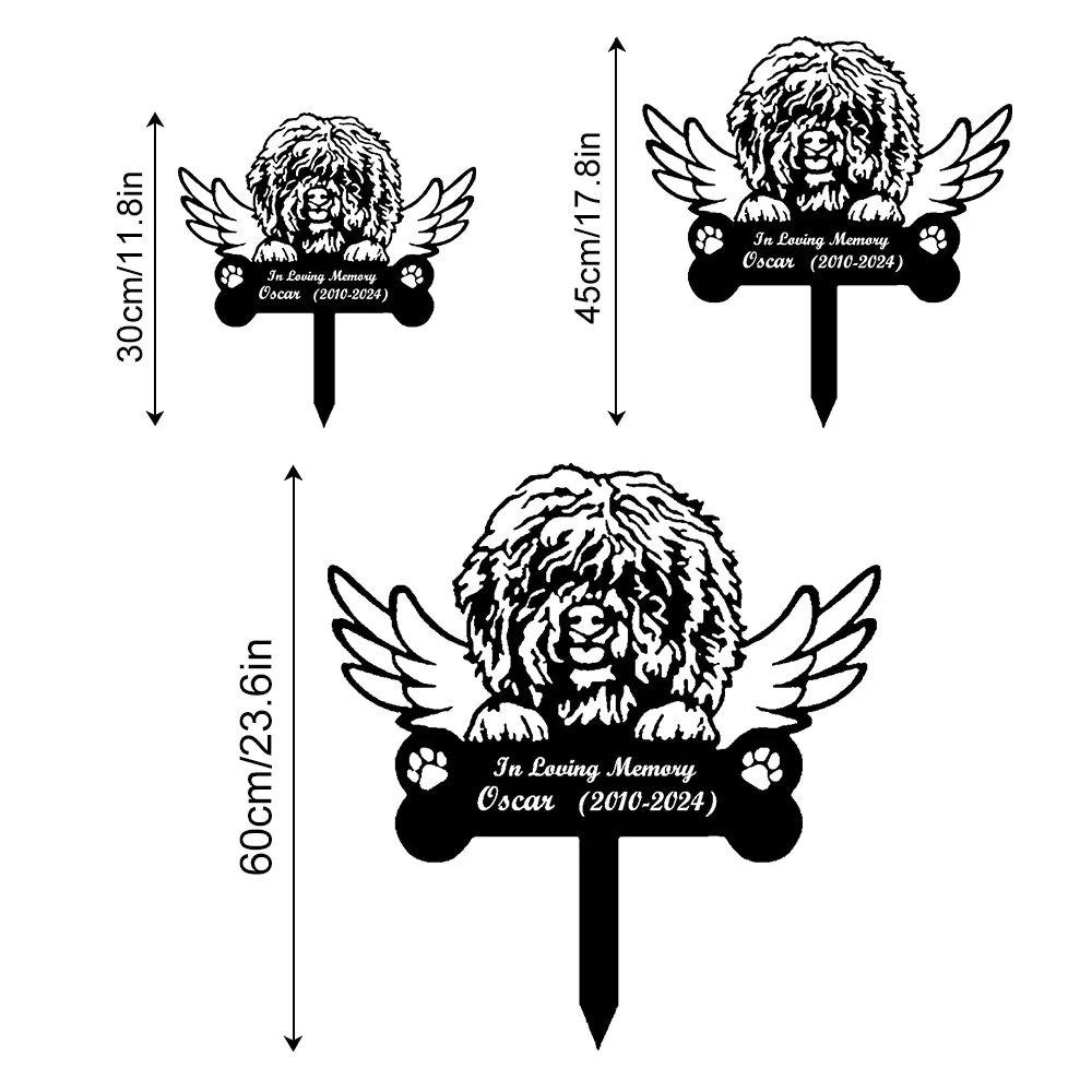 Image du produit 12