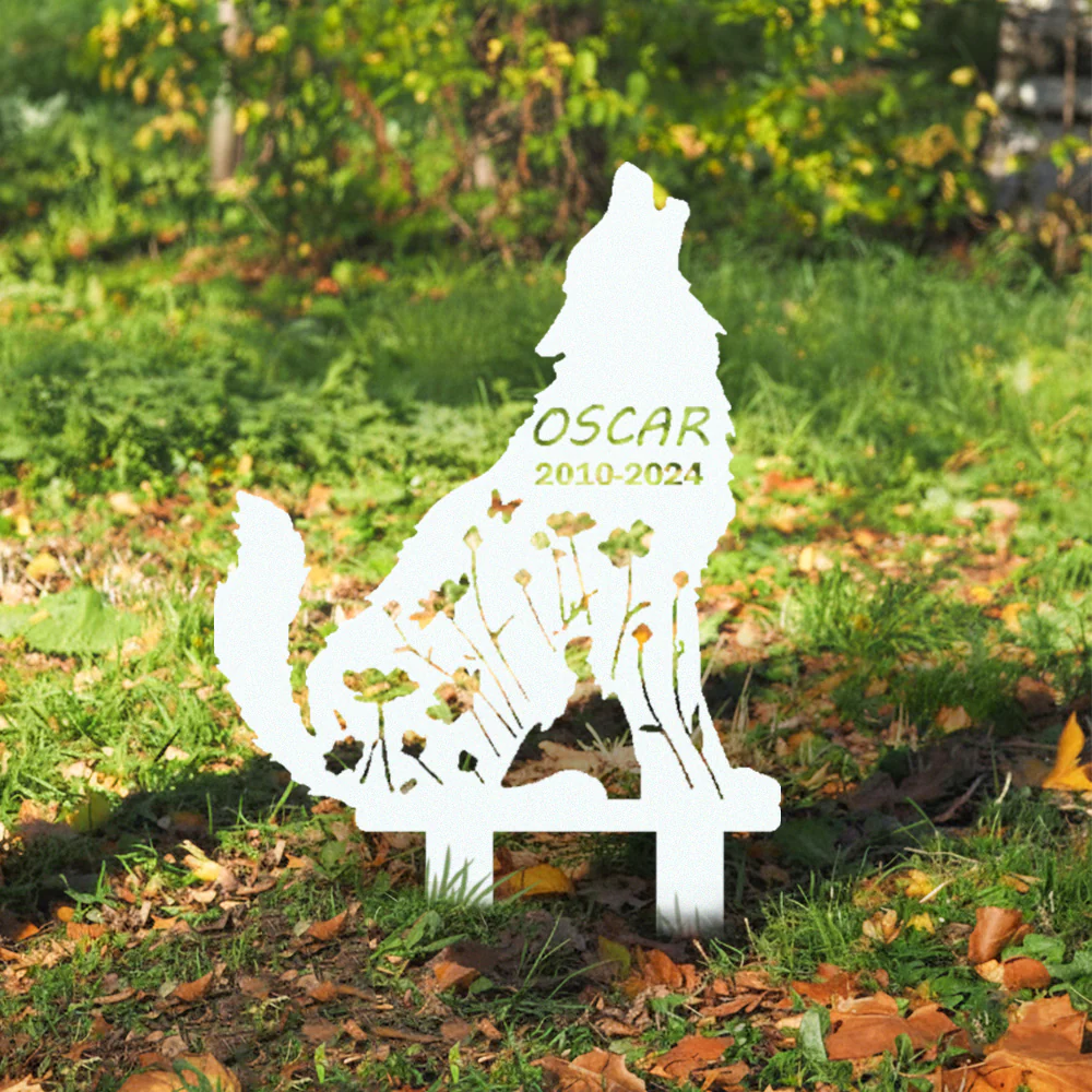 Image du produit 10