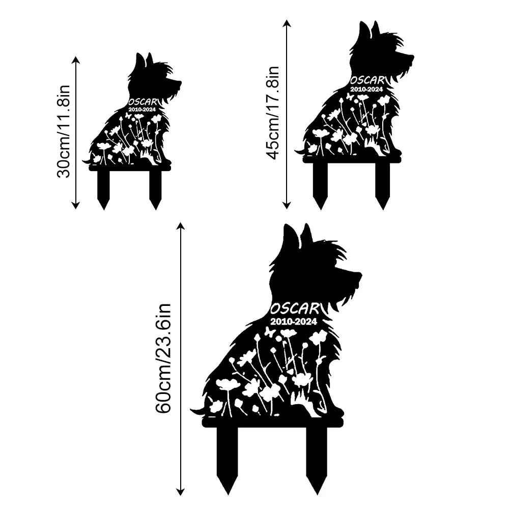Image du produit 12