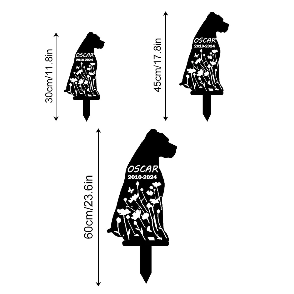 Image du produit 12