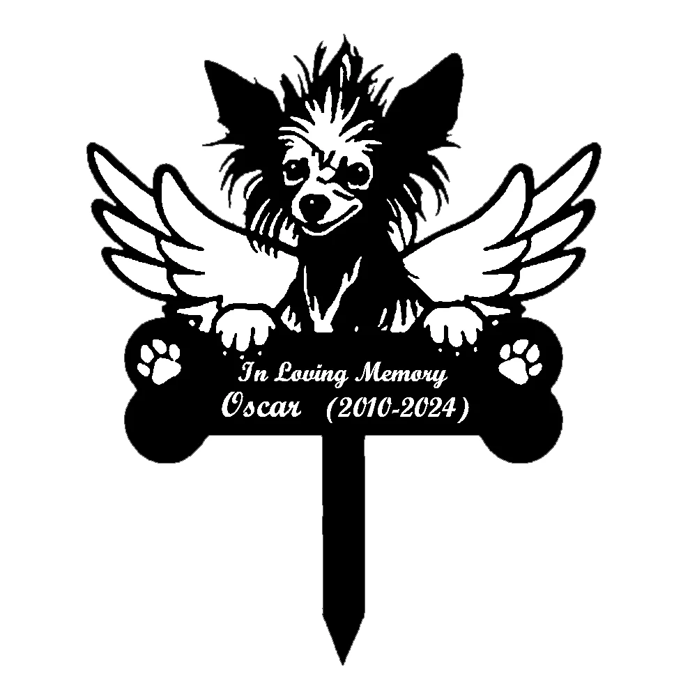 Image du produit 13