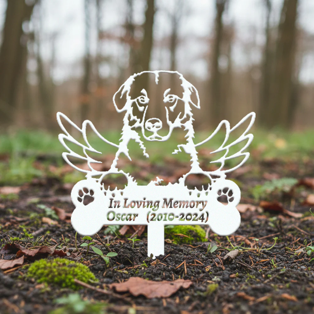 Image du produit 11