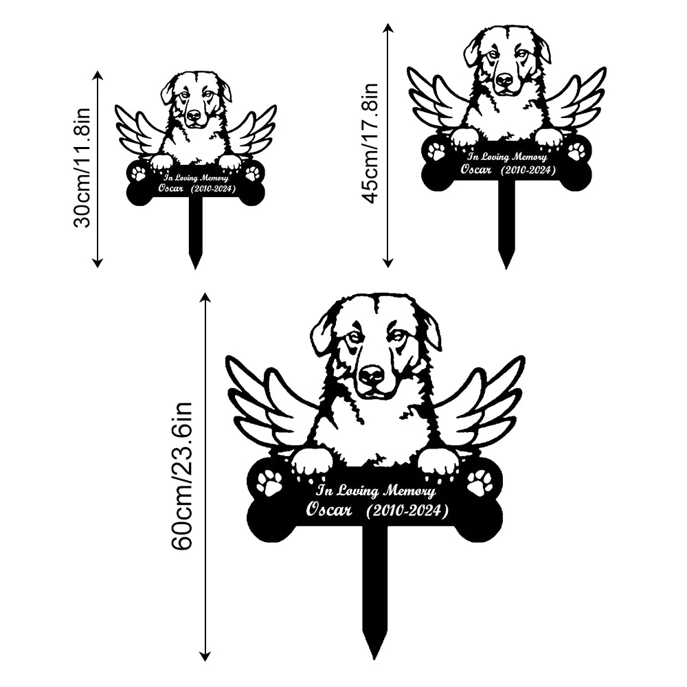 Image du produit 13