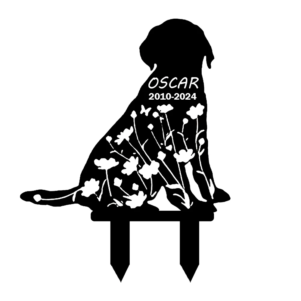 Image du produit 13