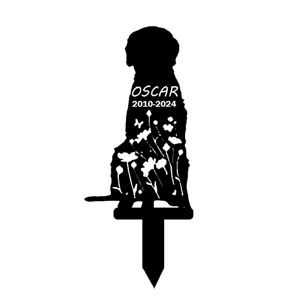 Image du produit 13