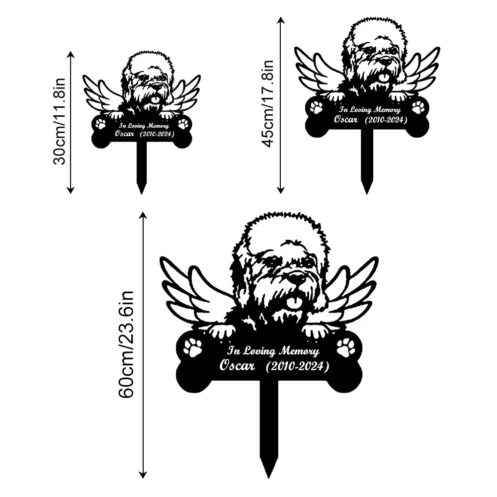 Image du produit 12
