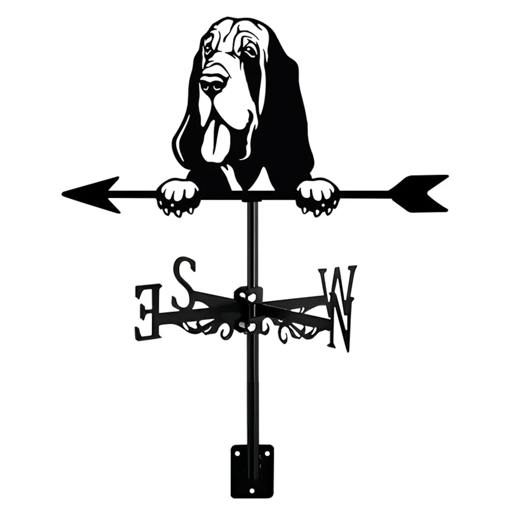 Image du produit 15