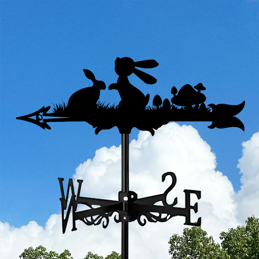 Image du produit 11