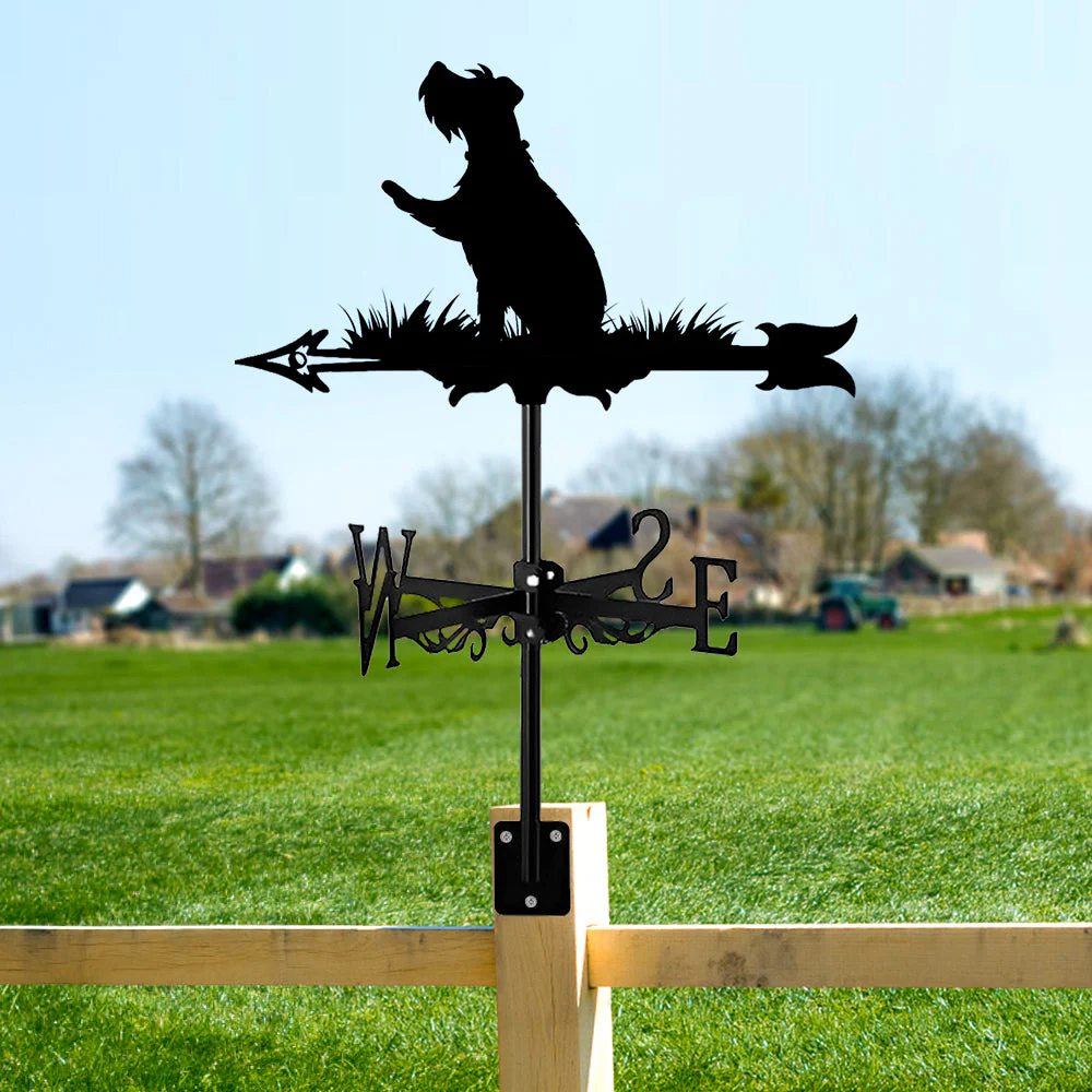 Image du produit 13