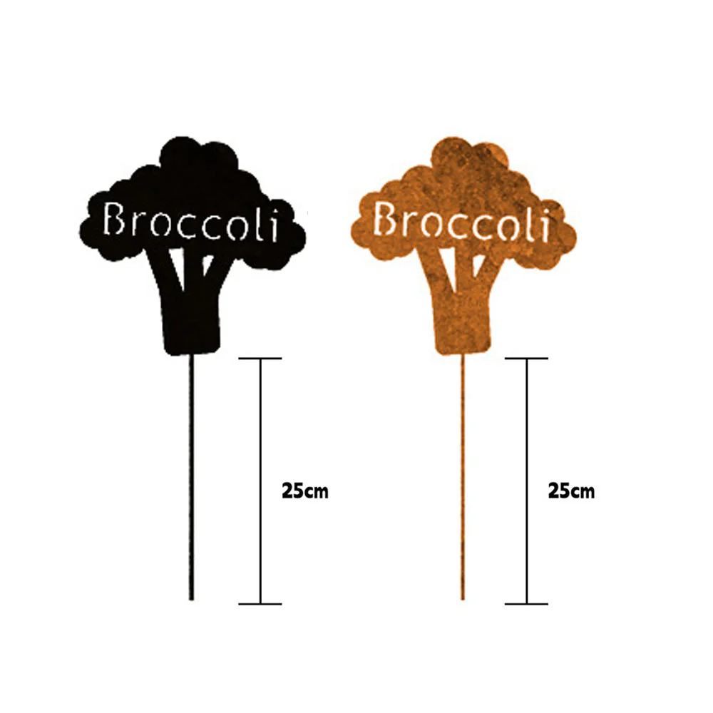 Image du produit 30